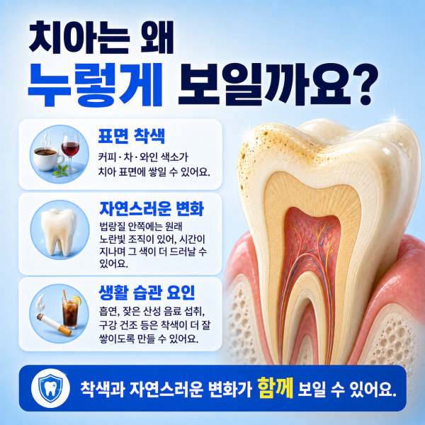 치아가 누렇게 보이는 이유는 무엇일까? - 설명 이미지 2